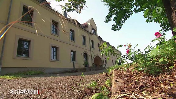 Szene aus Livestream MDR-Fernsehen
