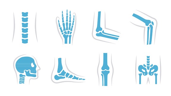 Symbole für Knochen und Gelenke an verschiedenen Körperteilen