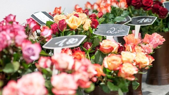 Verschiedene Rosen in einem Blumenladen
