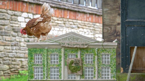 Das undatiertes Foto, herausgegeben vom British Hen Welfare Trust, zeigt die Henne Henrietta. König Charles hat die einmillionste Henne des British Hen Welfare Trust adoptiert - und sie auf den Namen Henrietta getauft, teilte die Wohltätigkeitsorganisation mit. Die Henne wurde am 17. August zusammen mit 30 anderen Vögeln in den Highgrove Gardens, die sich in der Nähe der Privatresidenz des Königspaars in Gloucestershire befinden, aufgenommen. 