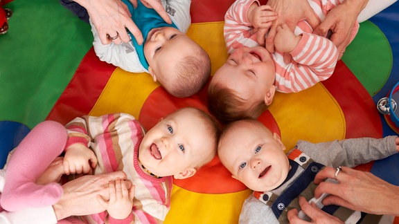 Ansicht von oben auf 4 Babys.