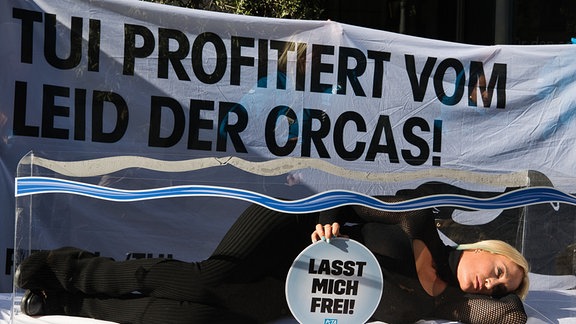 Sängerin Sarah Connor protestiert mit der Tierrechtsorganisation Peta vor der Niederlassung eines Reiseveranstalters. Dafür legte sie sich in ein kleines Aquarium ohne Wasser, um symbolisch zu zeigen, wie wenig Platz Wale in Meeresparks haben.