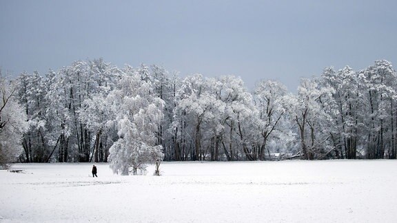 Eine Person geht durch die Schneelandschaft spazieren.