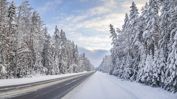 Schneelandschaft