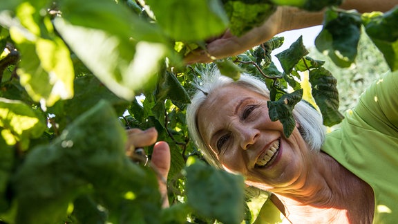 Seniorin in einem Garten unter einem Korkenzieher-Haselnuss-Strauch