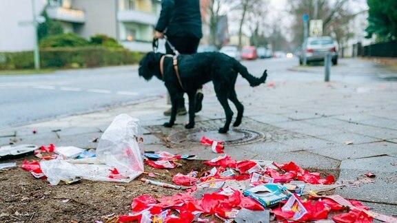 Hund läuft am Neujahrsmorgen an abgebrannten Feuerwerk vorbei