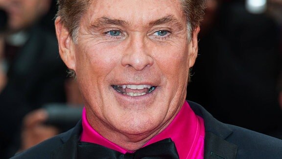 David Hasselhoff, 2013