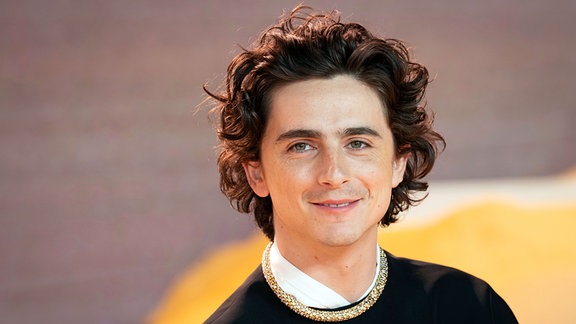 Timothee Chalamet 