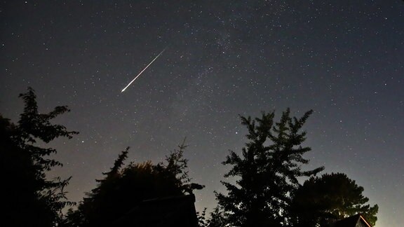 Ein Perseidenmeteor zieht über den Himmel 