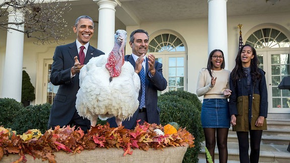 Barack Obama begnadigt 2015 Truthahn