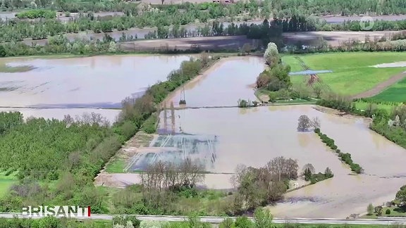 Szene aus Livestream MDR-Fernsehen