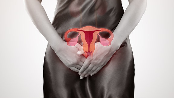 Uterus