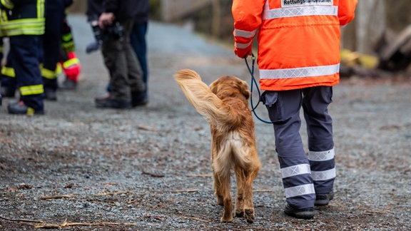 Ein Mitglied einer Rettungshundestaffel geht bei der Suche nach einem vermissten Jungen mit seinem Hund auf einem Weg an einem Waldstück entlang.