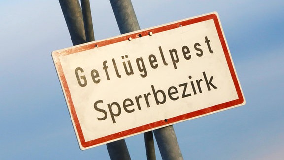 Schild, das auf einen Geflügelpest Sperrbezirk hinweist.