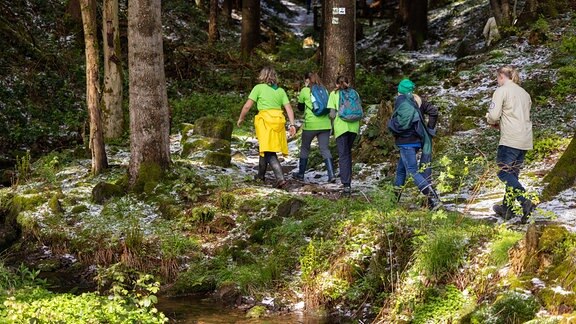 Pfadfinder der Deutschen Pfadfinderschaft Sankt Georg tragen eine selbst gebaute Bank einen Waldweg entlang, um sie für Wanderer aufzustellen.