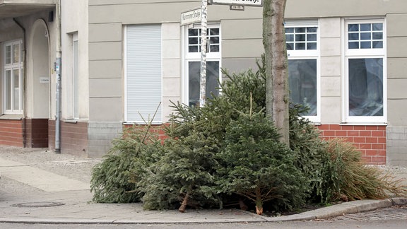 Weihnachtsbaum Sammelstelle