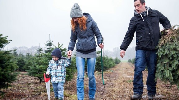 Eine junge Familie trägt auf einer Plantage einen selbst geschlagenen Weihnachtsbaum zur Kasse.
