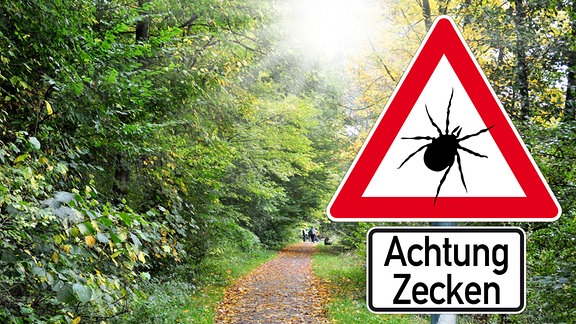 Ein Warnschild für Zecken in einem Wald