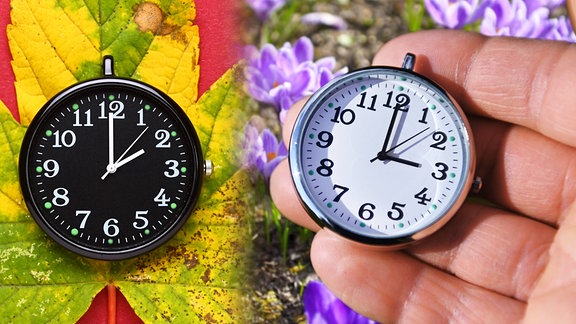 Fotomontage: Schwarze Uhr auf Herbstblatt und weiße Uhr vor Krokussen im Frühling