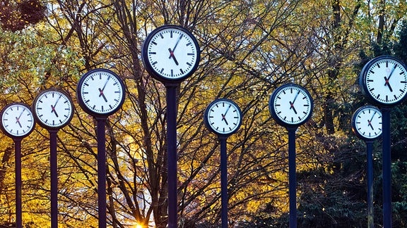 Kunstwerk Zeitfeld, 24 synchron laufende Bahnhofsuhren von Klaus Rinke im Volksgarten Düsseldorf, 
